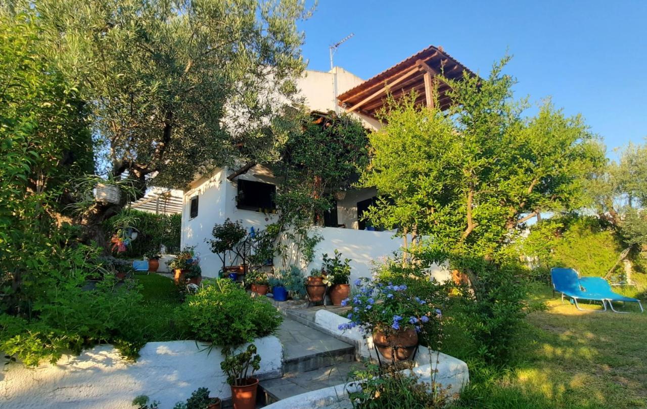 Vila Sonia'S House With Garden Gerakini Exteriér fotografie