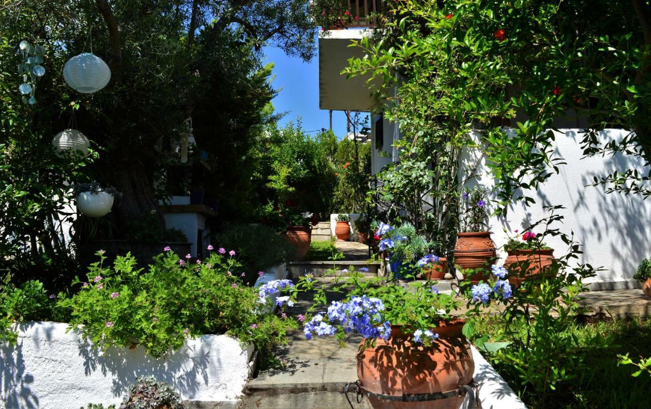 Vila Sonia'S House With Garden Gerakini Exteriér fotografie