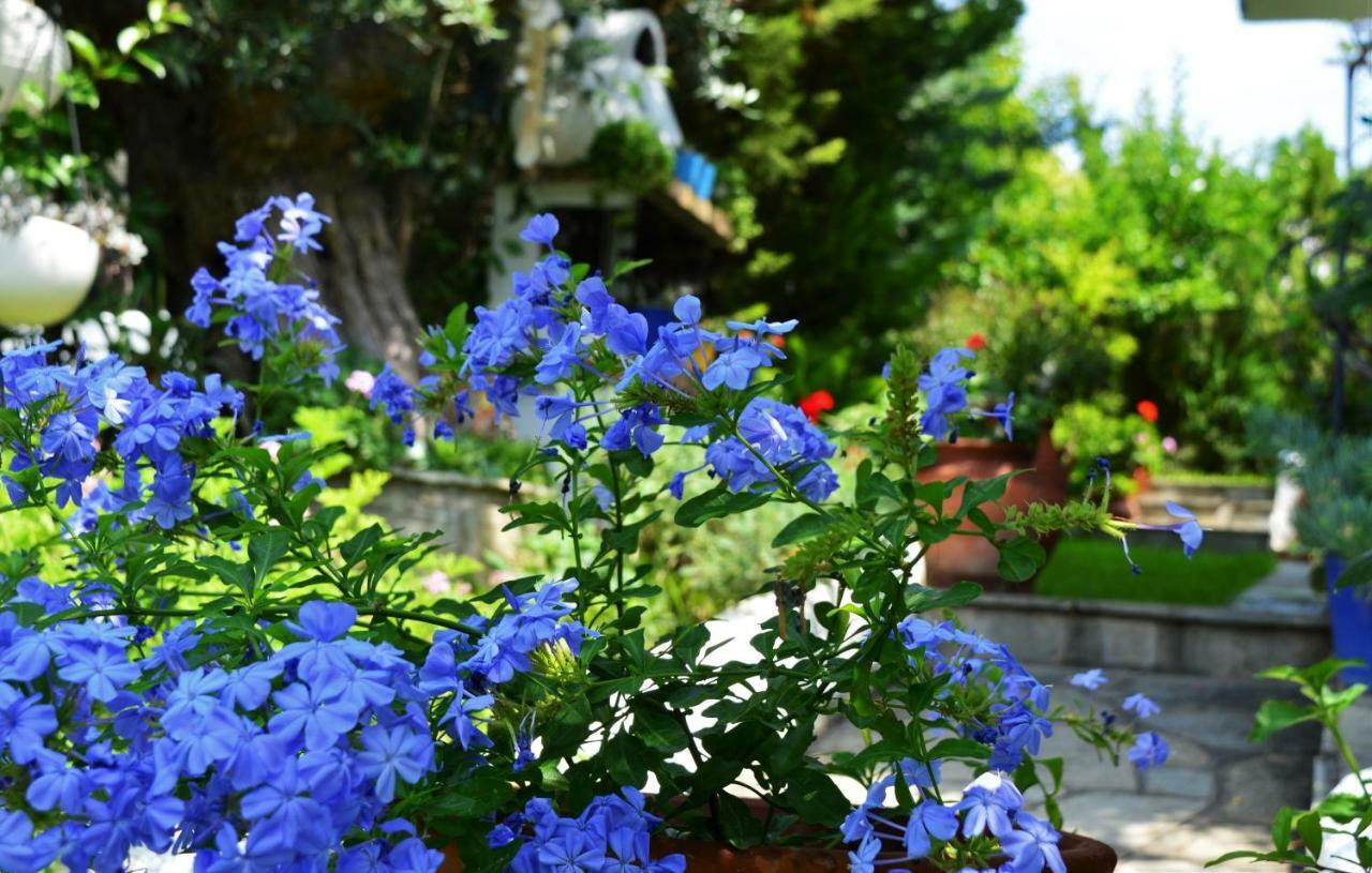 Vila Sonia'S House With Garden Gerakini Exteriér fotografie